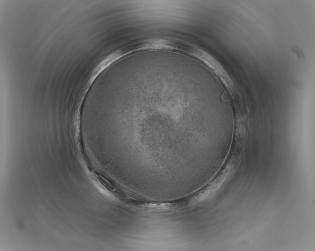 X0000113010858200908271407