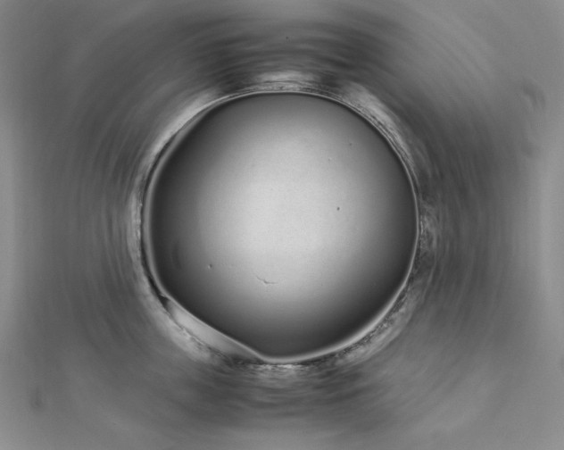 X0000113010859200908271407