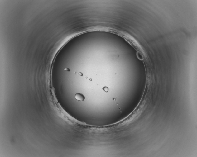 X0000113010860200908271407