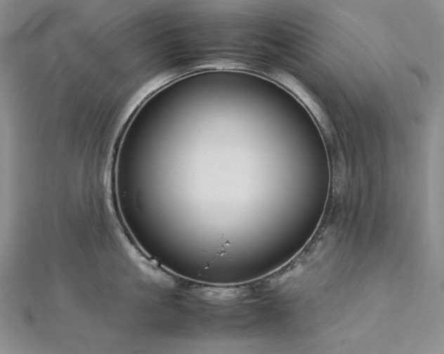 X0000113010861200908271407