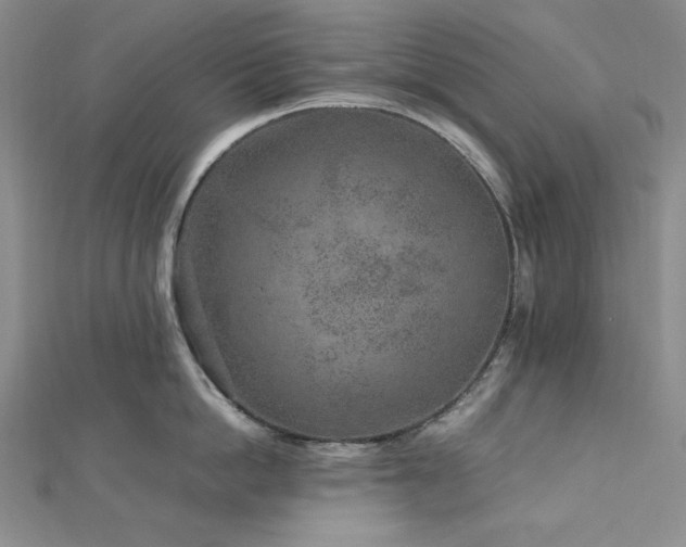 X0000113010862200908271407