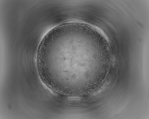 X0000113010863200908271407