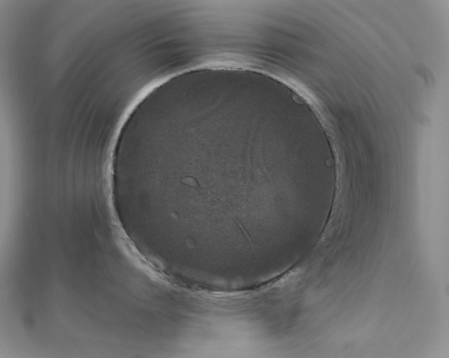 X0000113010864200908271407