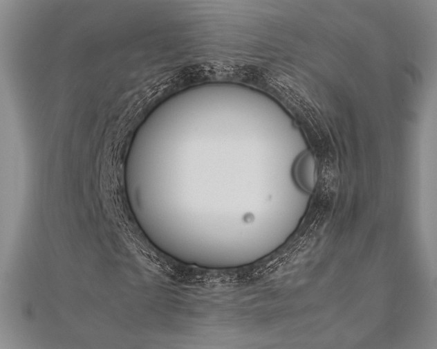 X0000113010865200908271407