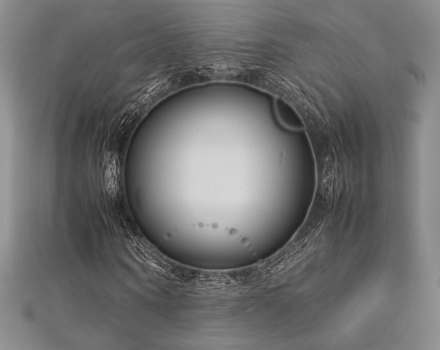 X0000113010866200908271407