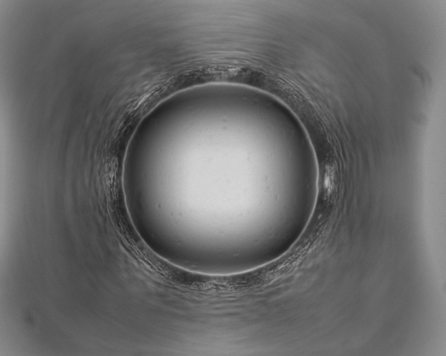 X0000113010867200908271407