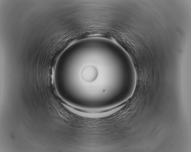 X0000113010868200908271406