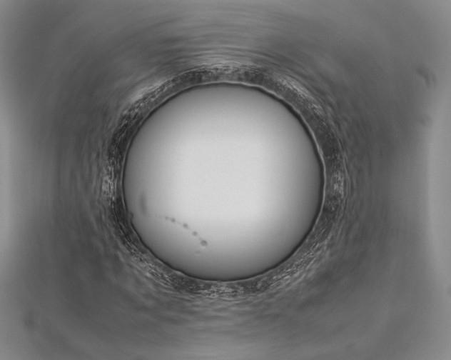 X0000113010869200908271406