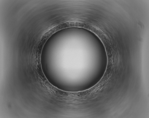 X0000113010870200908271406