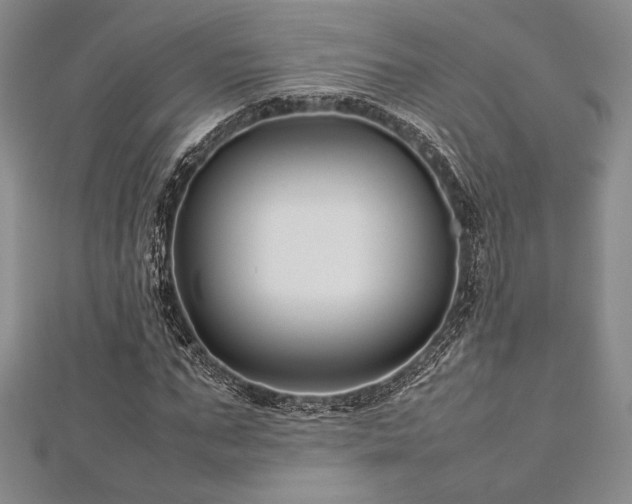 X0000113010871200908271406