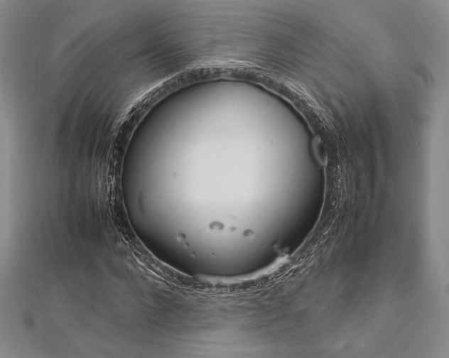 X0000113010872200908271406