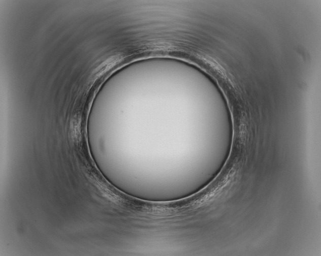 X0000113010873200908271406