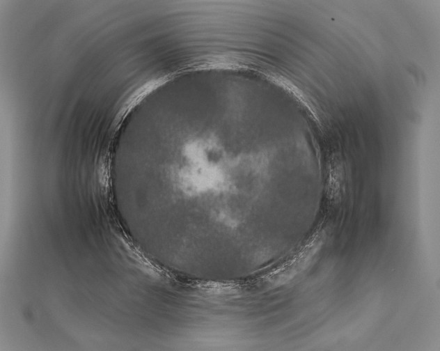 X0000113010874200908271406