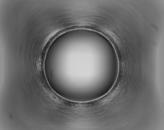 X0000113010875200908271406