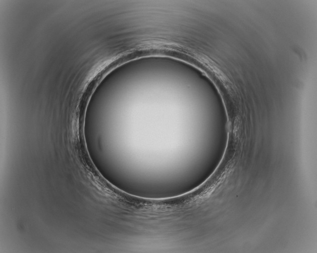 X0000113010877200908271406