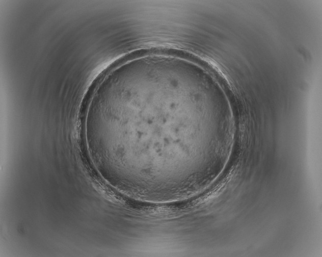 X0000113010879200908271406