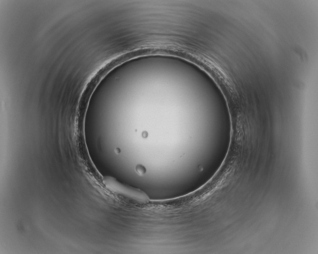 X0000113010880200908271406