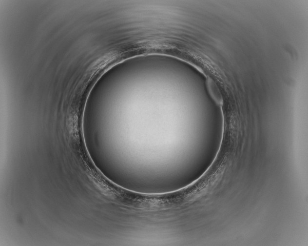 X0000113010881200908271406