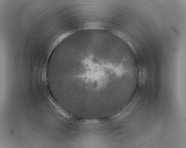 X0000113010882200908271406