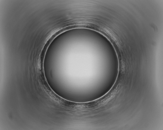 X0000113010883200908271406