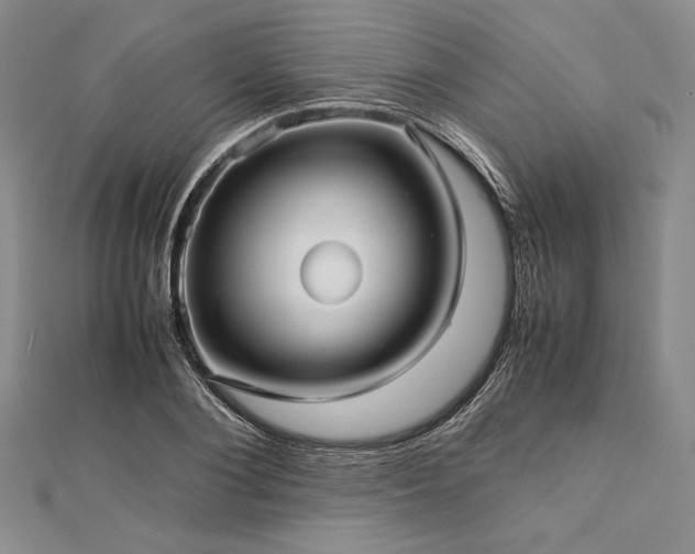 X0000113010884200908271406