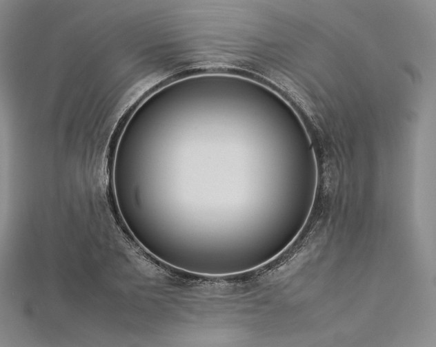 X0000113010885200908271406