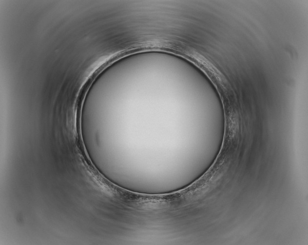 X0000113010886200908271406