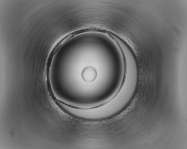 X0000113010888200908271406