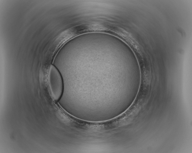 X0000113010889200908271406