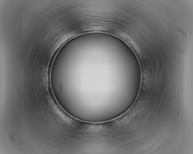 X0000113010890200908271406