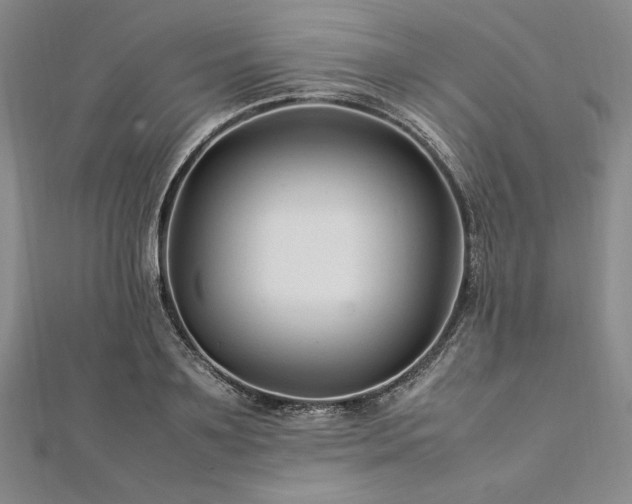 X0000113010891200908271406