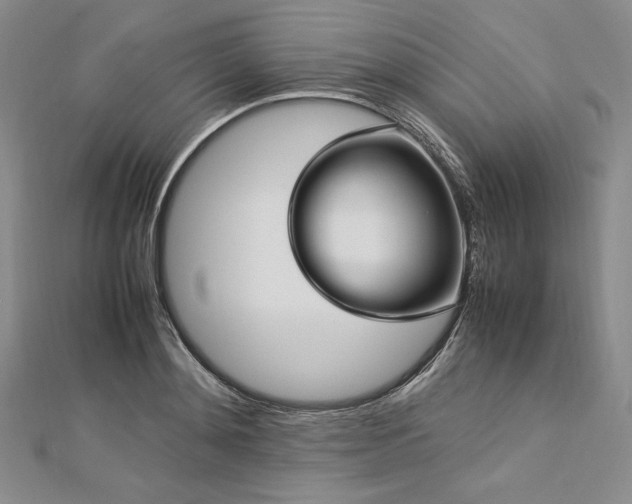 X0000113010892200908271406