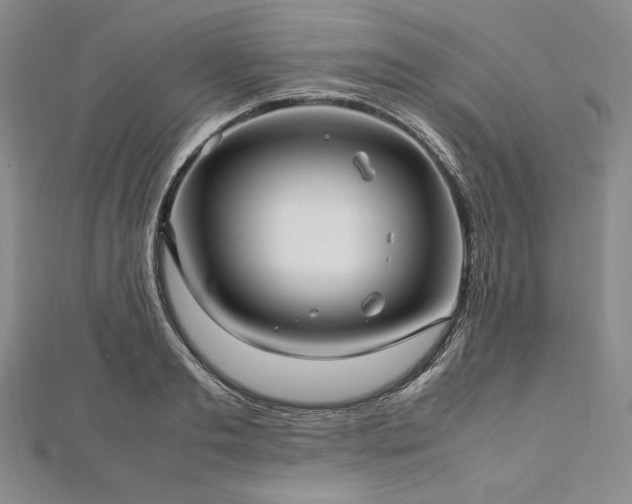 X0000113010893200908271406