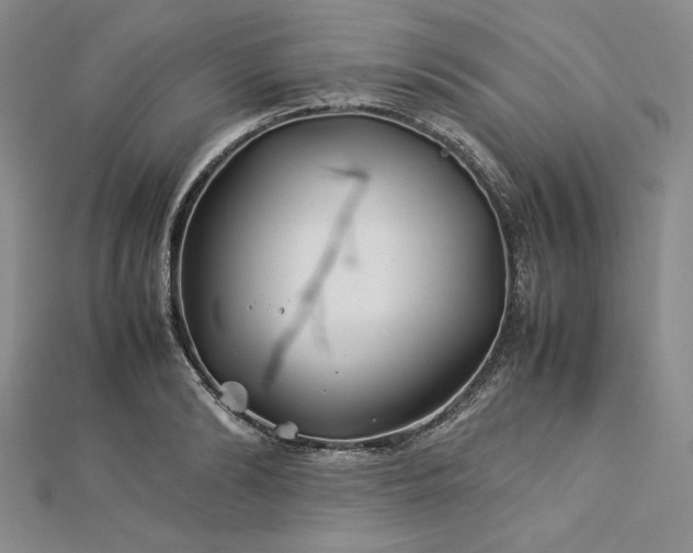 X0000113010894200908271406