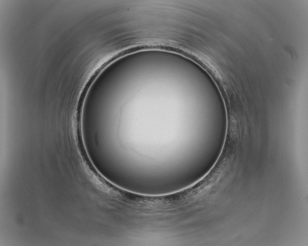 X0000113010895200908271406