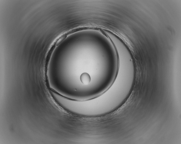 X0000113010896200908271406