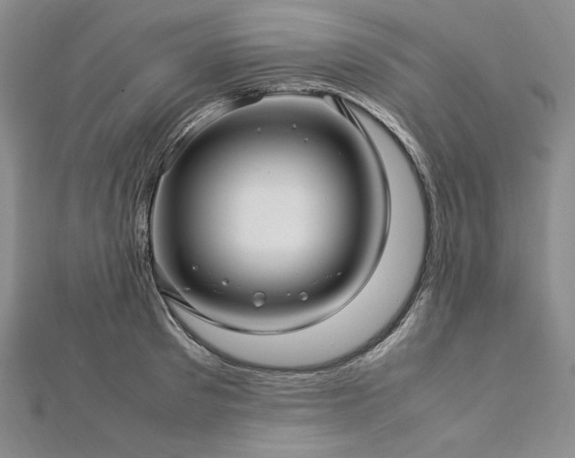 X0000113010897200908271406