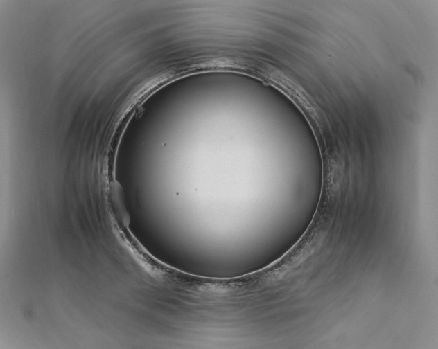 X0000113010898200908271406