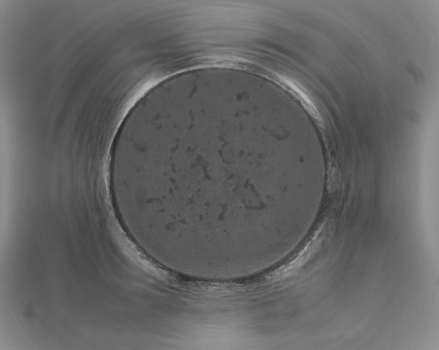 X0000113010899200908271406