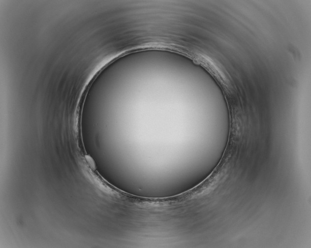 X0000113010900200908271406