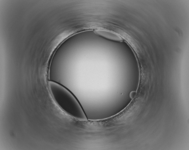 X0000113010901200908271406