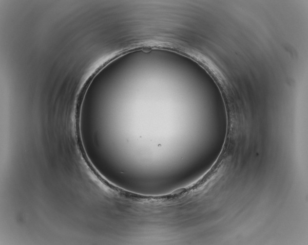 X0000113010902200908271406