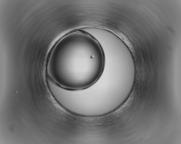 X0000113010904200908271406