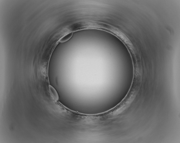 X0000113010905200908271406