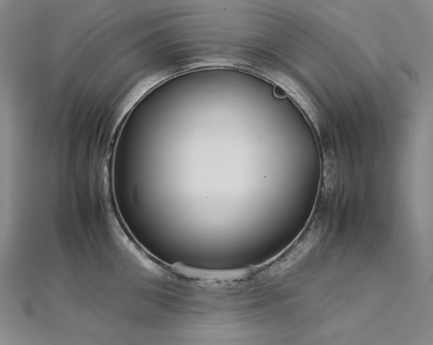 X0000113010906200908271406