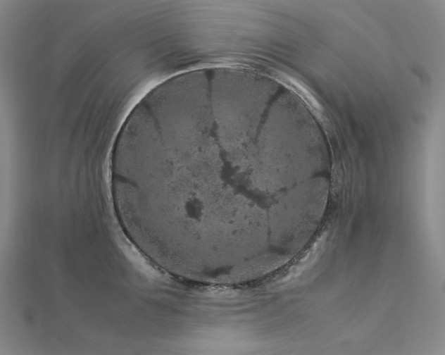 X0000113010907200908271406