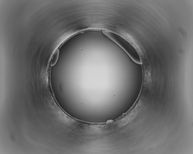 X0000113010908200908271406