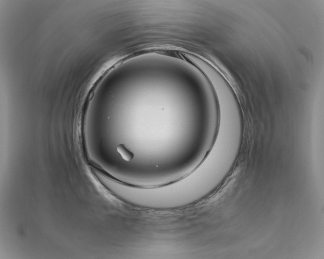 X0000113010909200908271406