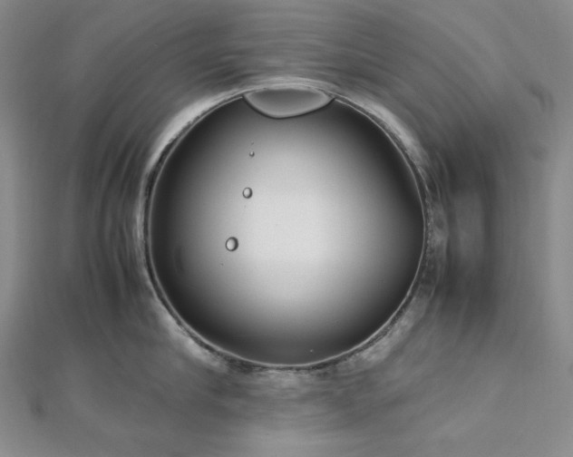 X0000113010910200908271406