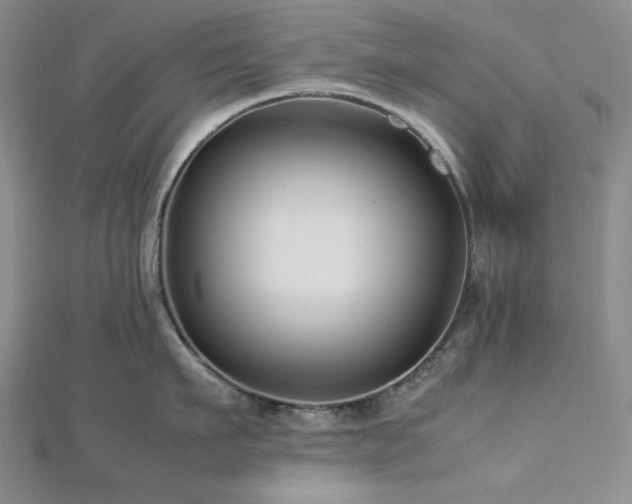 X0000113010911200908271406